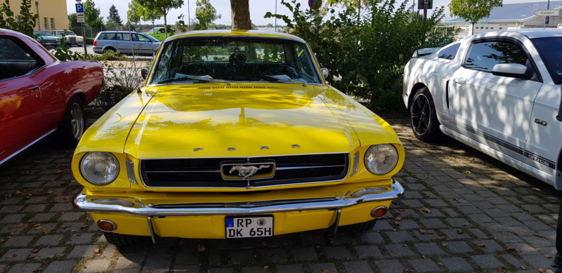 16. Corvettentreffen des Corvette Club Rhein-Neckar in St. Leon-Rot 1.9.2019 20191589