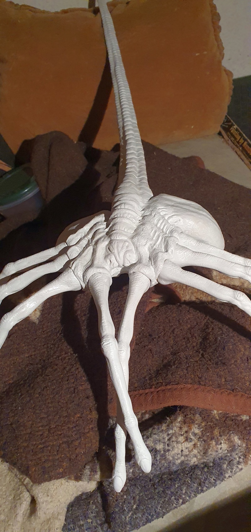 Baubericht Facehugger aus Alien und Aliens 1:1 (Livesize)Bausatz von Indymodel88 20210144