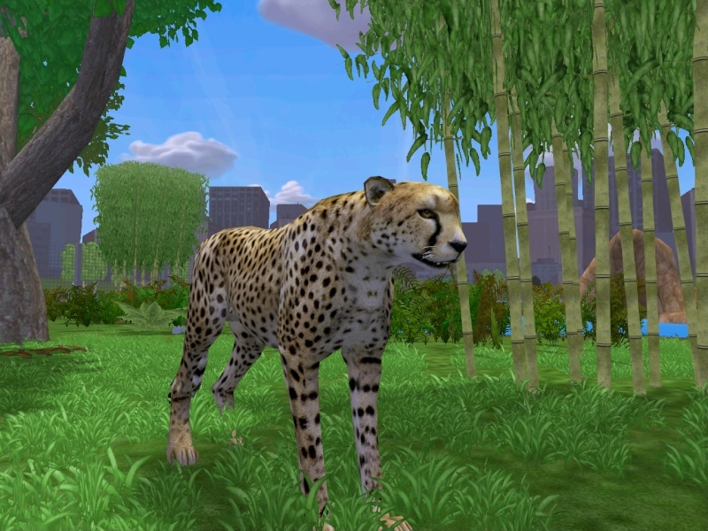 Vos astuces Zoo Tycoon 2 Pic41010