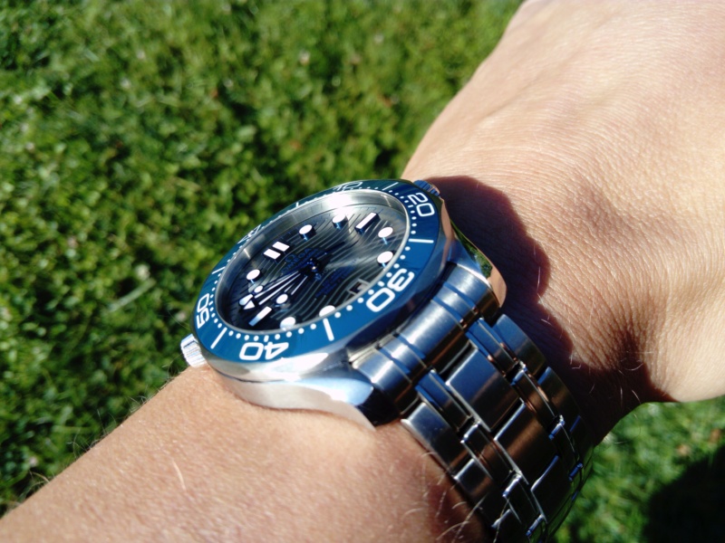 Omega Seamaster Diver 300 (42mm) ou Tudor Black Bay 58 - Page 3 Dsc_3129
