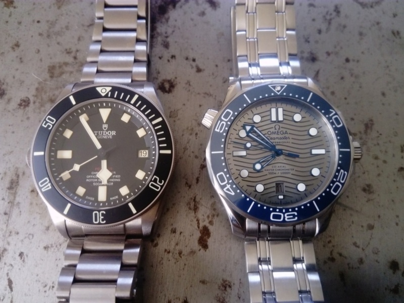 Tudor Pelagos Vs Omega Seamaster Diver 300 2500/8800 Dsc_4112