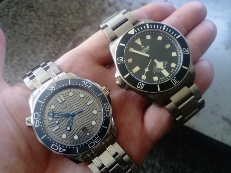 seamaster - Tudor Pelagos Vs Omega Seamaster Diver 300 2500/8800 Dsc_4113