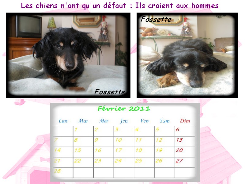 calendrier ! - Page 4 Fevrie10