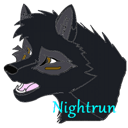Nightrun boutique ! - Page 2 Swiftk10