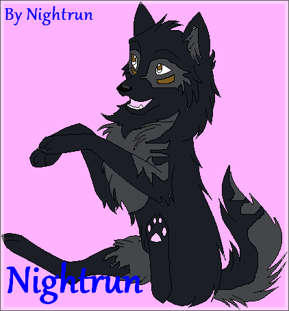 Nightrun boutique ! - Page 2 Wolf_o10