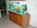 Superbe aquarium a vendre  Aquari11
