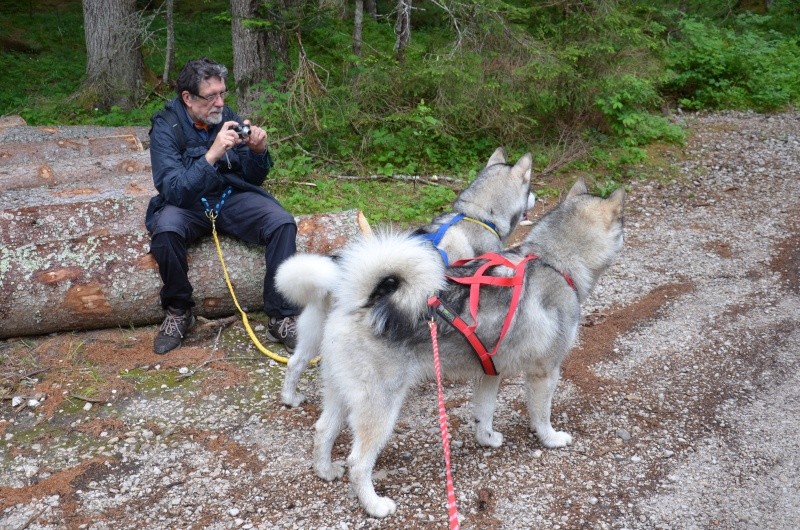 1° meeting Alaskan Malamute estate 2011 - non solo dog-trekking! - Pagina 2 Dogtre13