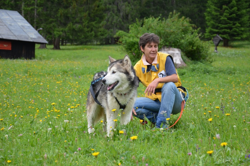 1° meeting Alaskan Malamute estate 2011 - non solo dog-trekking! - Pagina 2 Dogtre20