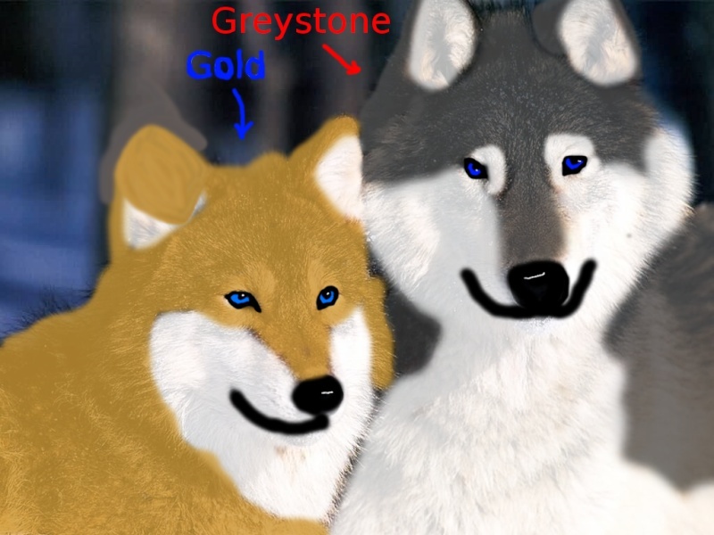 Greystone's art Gg10