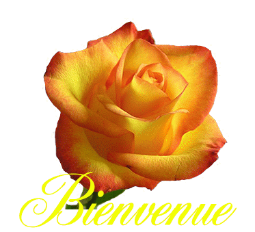 Presentez-vous!!!!!! 8b34bp13