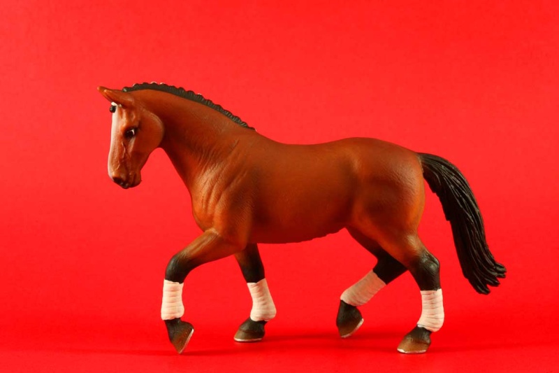 Atabini's new Schleich arrivals - Page 2 13296_10