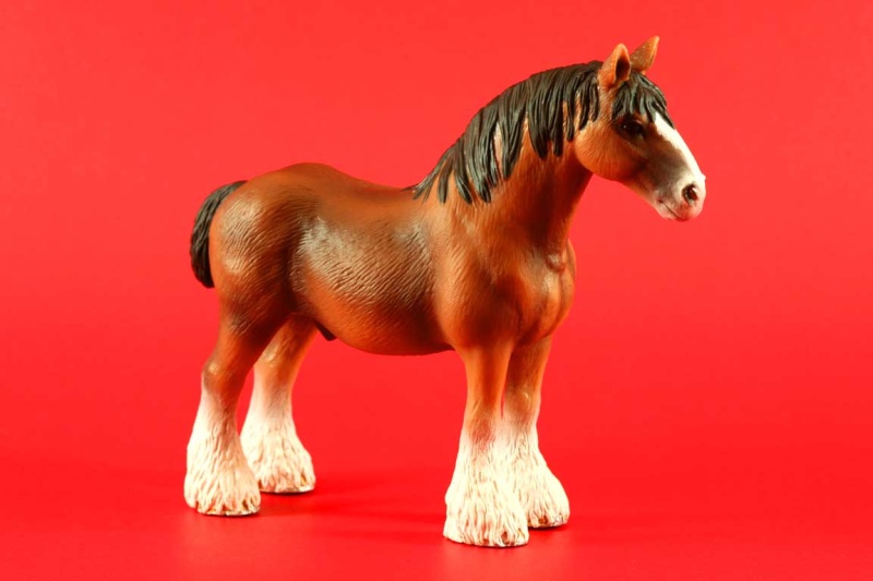 Atabini's new Schleich arrivals - Page 2 13670_10