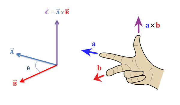 الضرب المتجهي (التقاطعي)  Vector (Cross) Product      Righth10