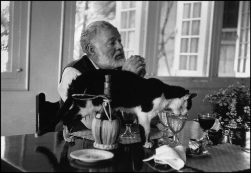 biographie (Hemingway) Tumblr10