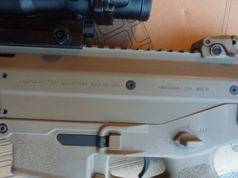 Masada ACR magpul pts ® (pour commancer^^) P1020714