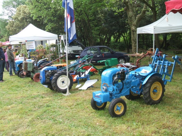 fete des fleurs a st jean de vedas 34430 Photo_29