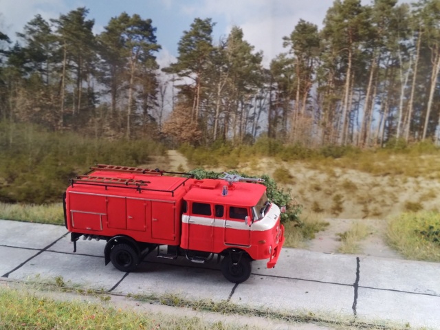 W50 LA TLF 16 Tagesleuchtrot 20190816