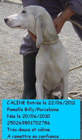 CALINE  rebaptisée LEA Billy/Porcelaine 250269801702786 en CA 868cop10