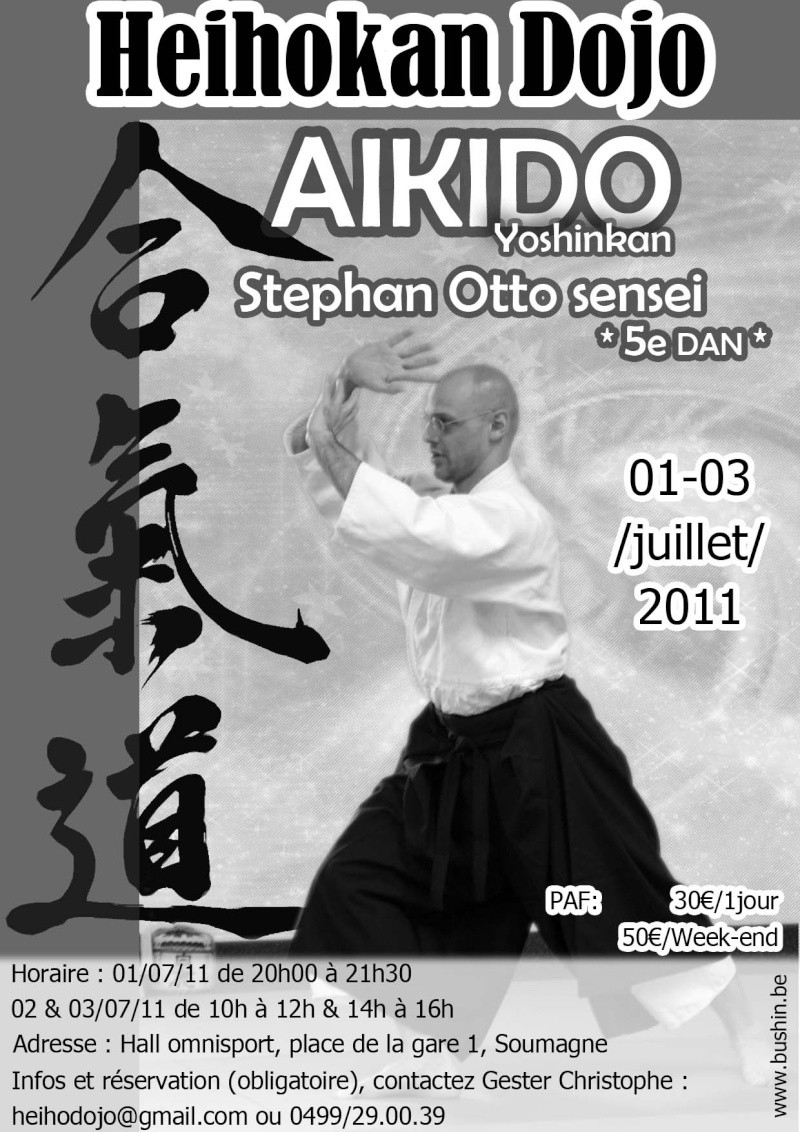 2011-07-02&03 Training with Stephan Otto sensei 2011-012