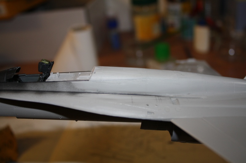 F/A 18 HORNET [HASEGAWA] 1/48 Img_0024