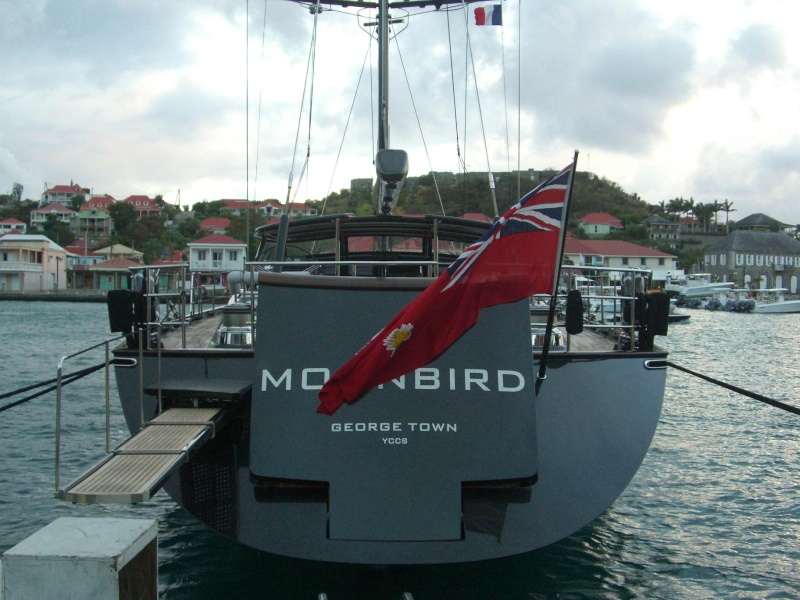 MOONBIRD Cimg8411