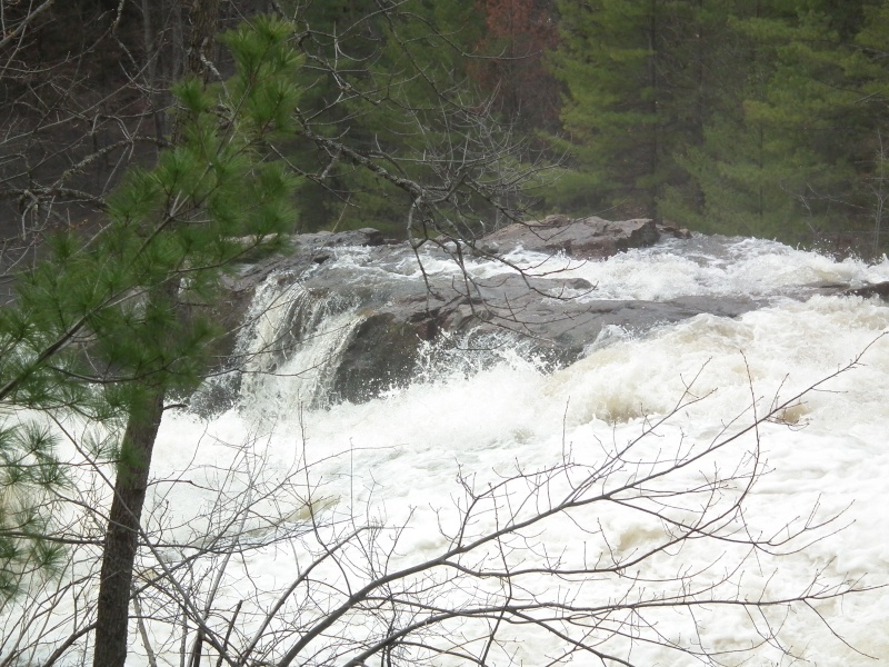 La chute  2011_051