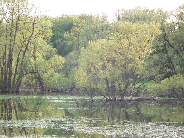 Sur la Rive Sud  2011_069