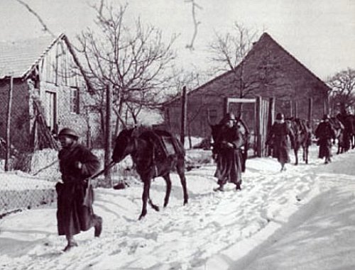 Les Goumiers Marocains de l'Italie à l'Alsace Goumie13