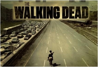 The Walking Dead, la série Thewal11