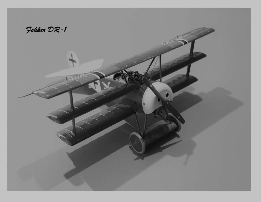 [Eduard] Fokker Dr.1    1/48  (fdr1) 20210191