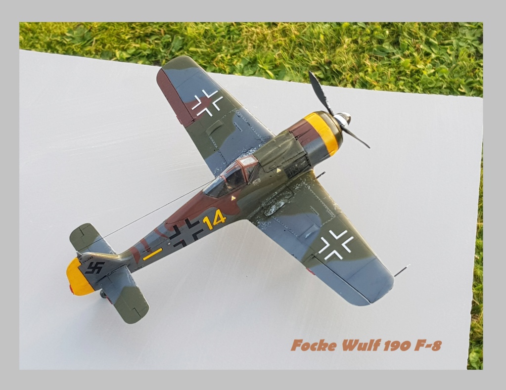 Focke Wulf  190 F-8 Eduard Weekend Edition  1/48ème  20211289