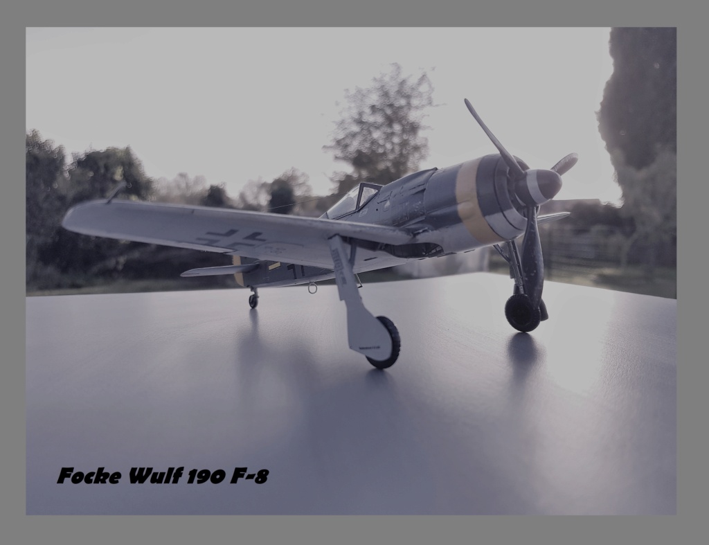 Focke Wulf  190 F-8 Eduard Weekend Edition  1/48ème  20211290