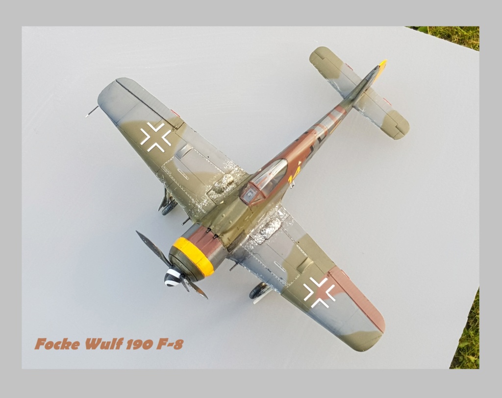 Focke Wulf  190 F-8 Eduard Weekend Edition  1/48ème  20211291