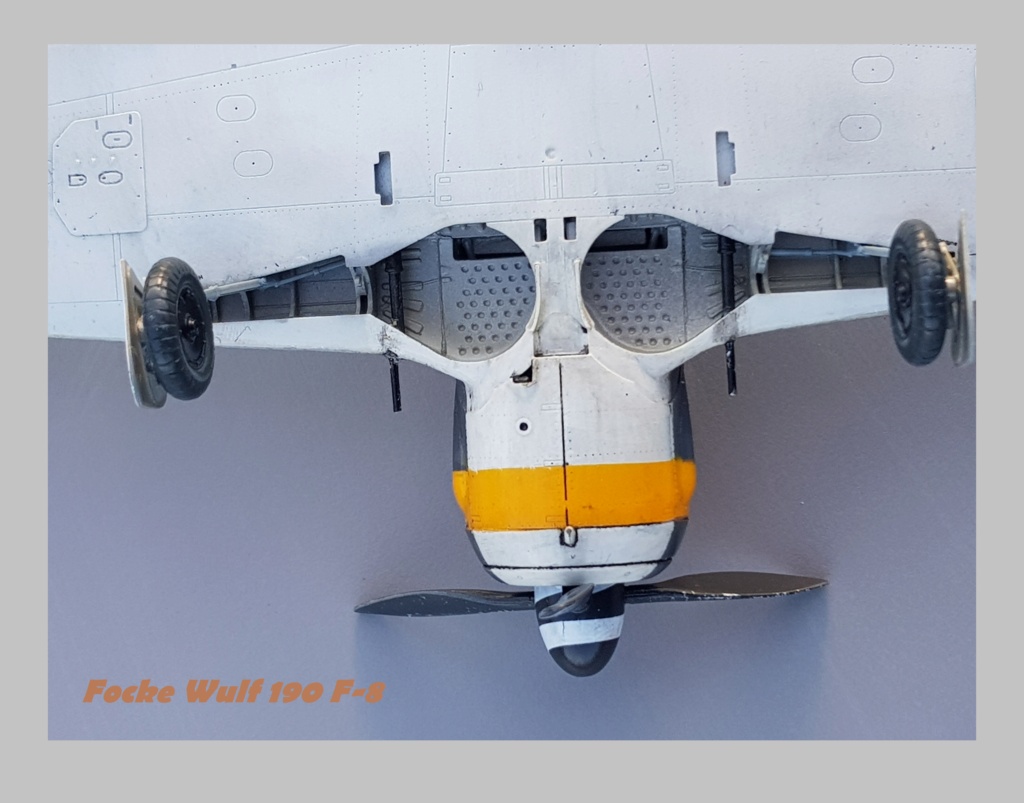 Focke Wulf  190 F-8 Eduard Weekend Edition  1/48ème  20211295