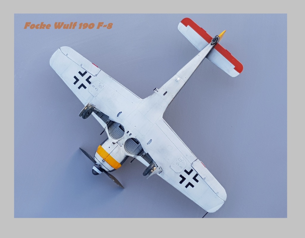 Focke Wulf  190 F-8 Eduard Weekend Edition  1/48ème  20211296