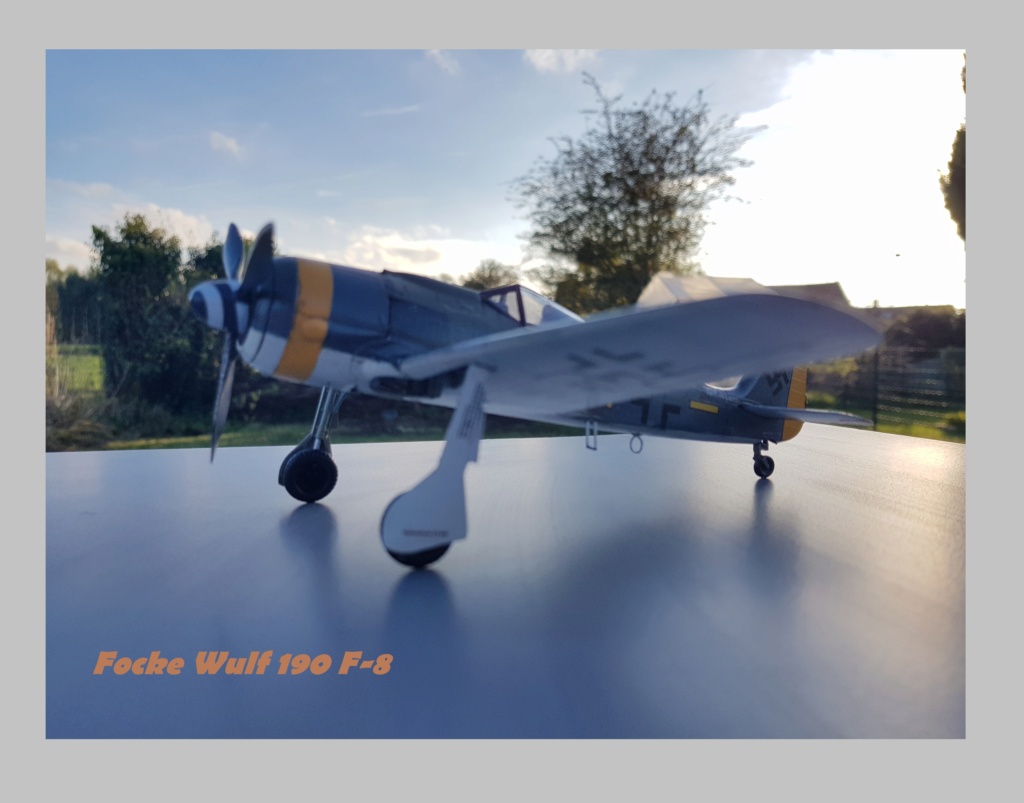 Focke Wulf  190 F-8 Eduard Weekend Edition  1/48ème  20211299