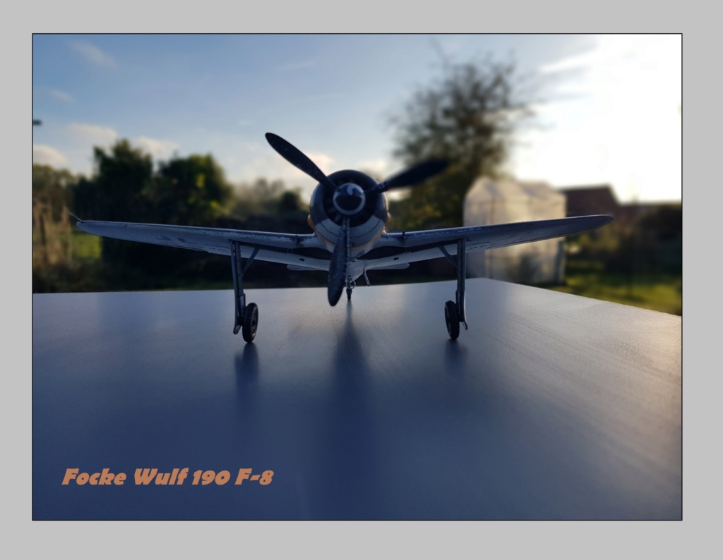 Focke Wulf  190 F-8 Eduard Weekend Edition  1/48ème  20211300