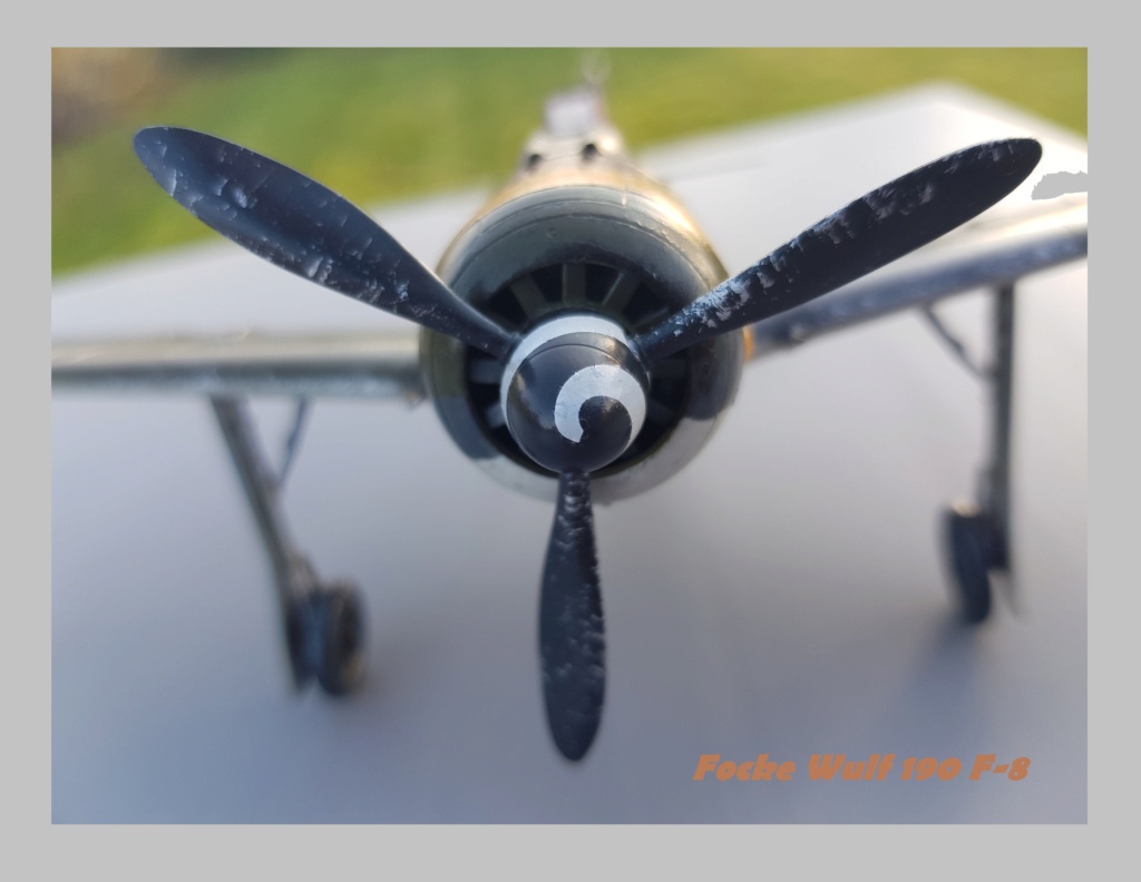 Focke Wulf  190 F-8 Eduard Weekend Edition  1/48ème  20211301