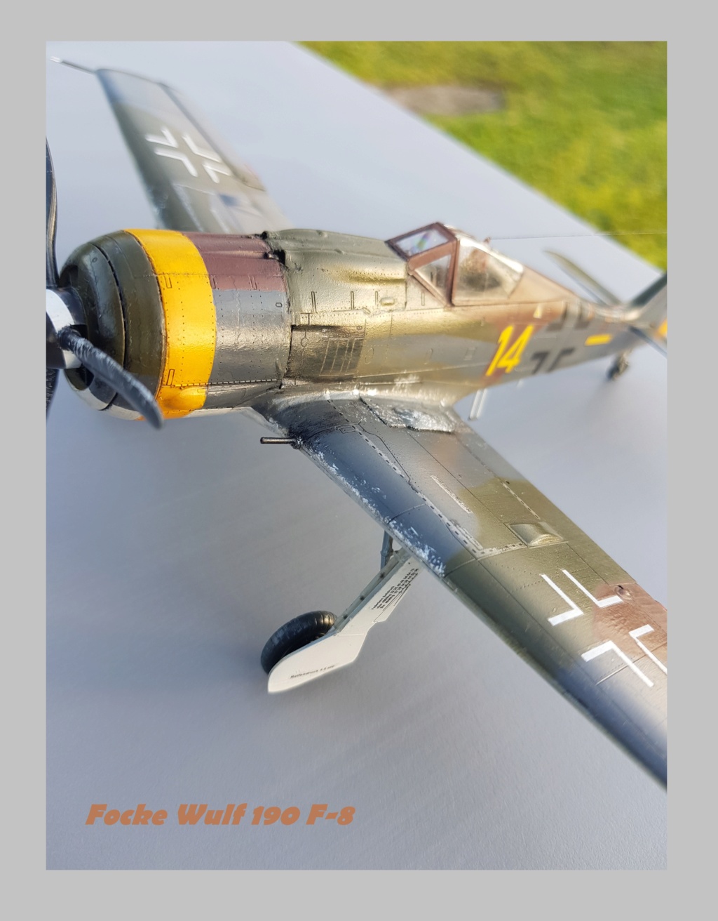 Focke Wulf  190 F-8 Eduard Weekend Edition  1/48ème  20211302