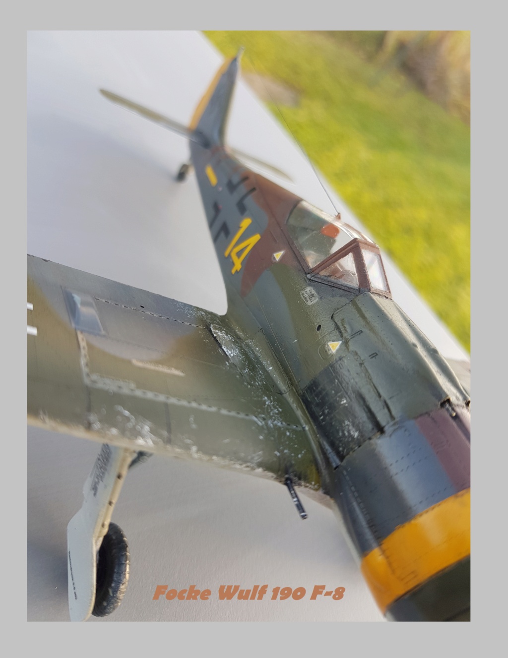 Focke Wulf  190 F-8 Eduard Weekend Edition  1/48ème  20211305