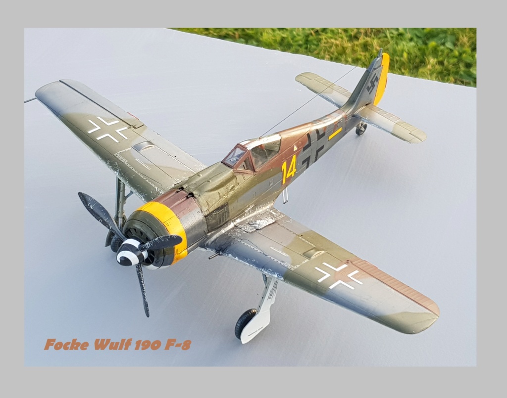 [Eduard] 1/48 - Focke-Wulf Fw 190 F-8    (fw190) - Page 4 20211308