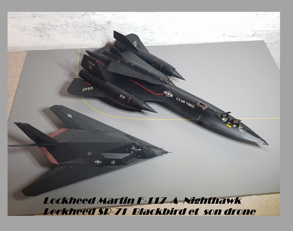 Lockheed Martin  F-117 A   Nighthawk 20230132