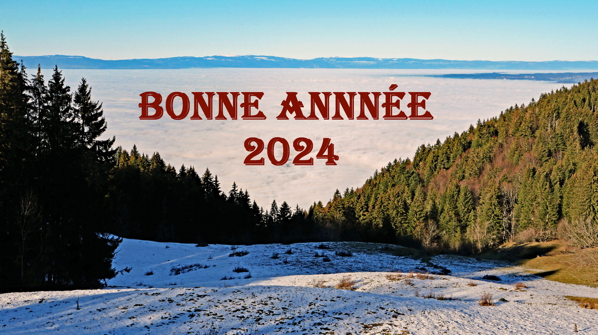 MEILLEURS VOEUX POUR 2024 Bonne_13