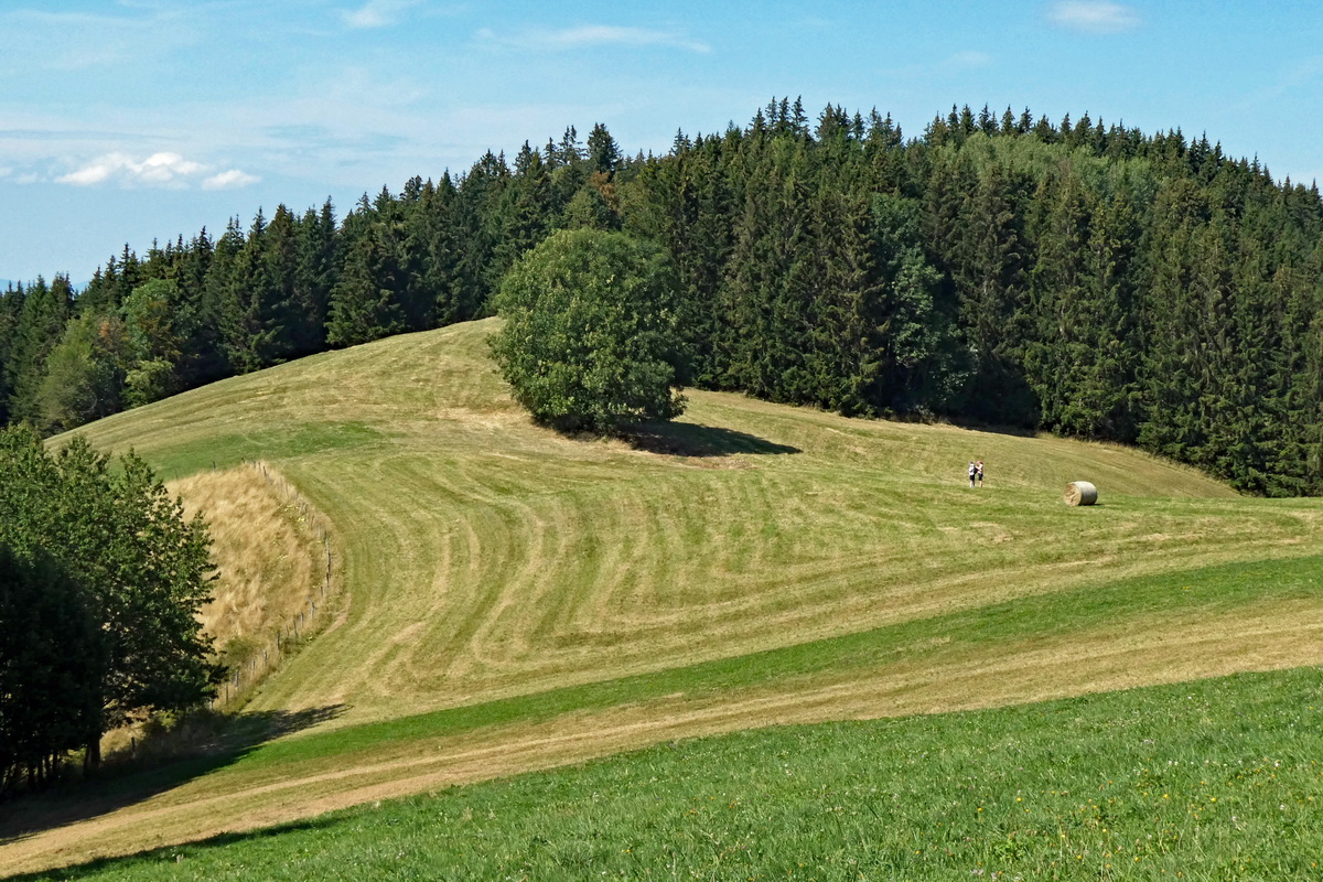 Dernière balade Derniz23