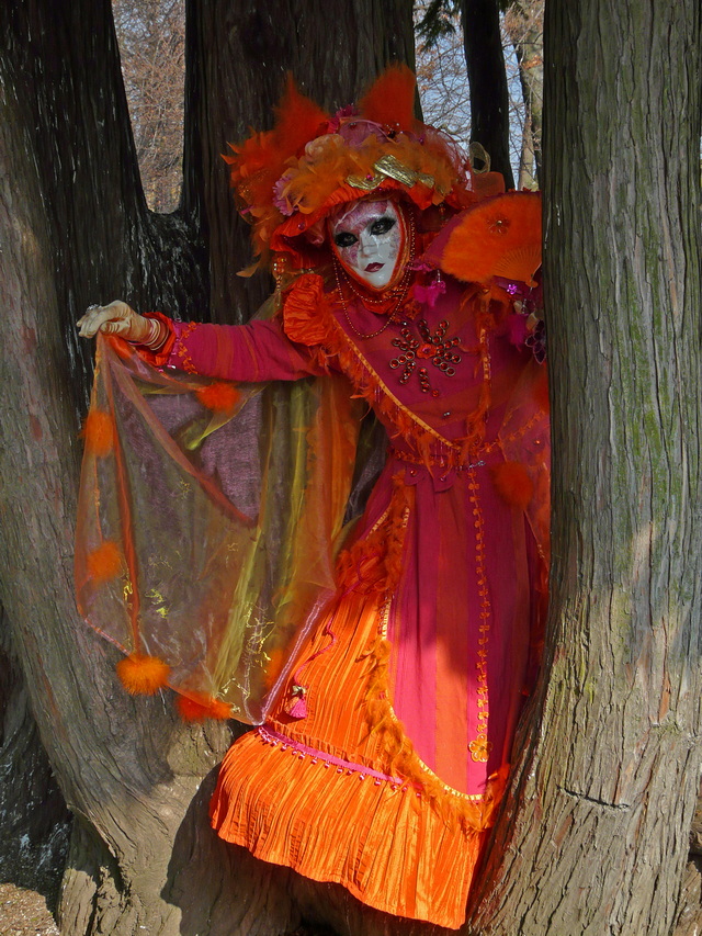 ANNECY Carnaval Vénitien   Fil ouvert  Fzovri11