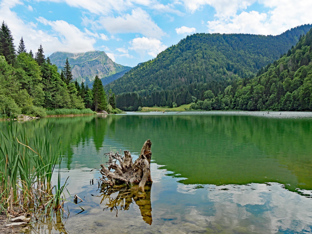 Lac de Vallon Lac_de15