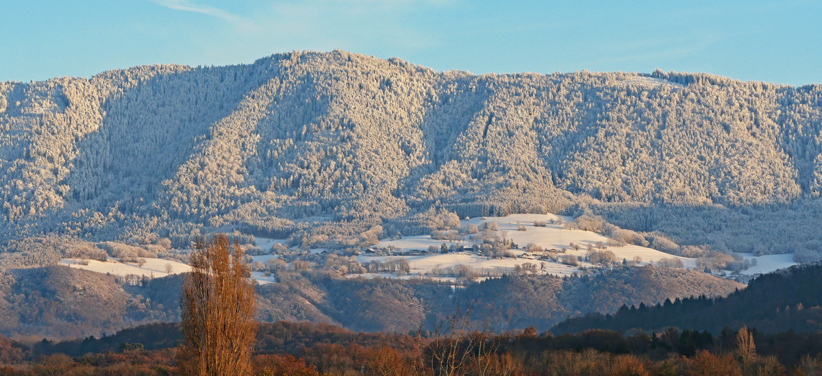 Neige et givre Neige_10