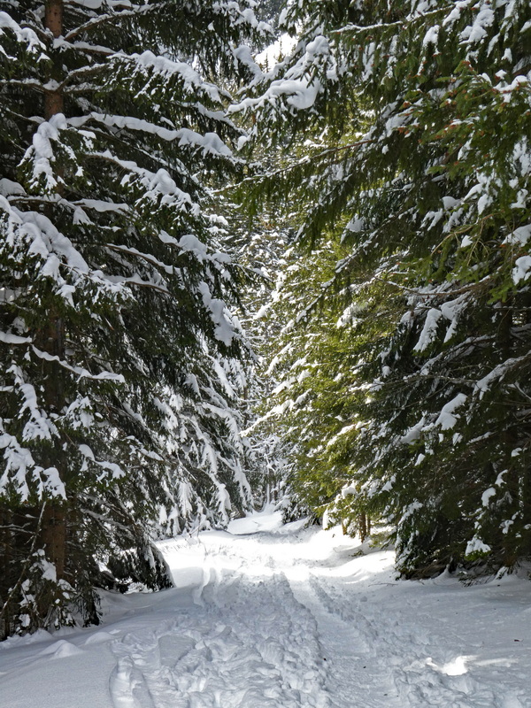 Sortie neige Sortie55