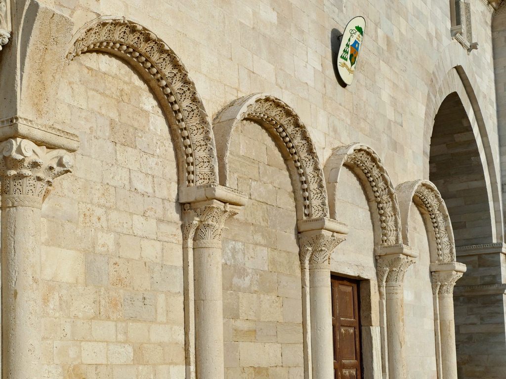 Trani Trani_14