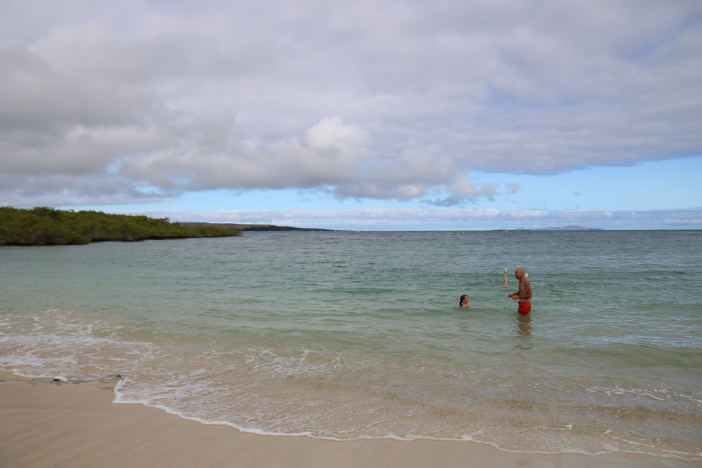 JURASSIK GALAPAGOS Publié le 14 novembre 2018 par Alain et Stéphanie 146-co10